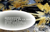 EXPOSITION TRÉSORS DE LA TERRE - mnhn.fr · ∕∕ 4 — TRÉSORS DE LA TERRE CHIFFRES CLÉS PLUS DE 460 000 SPÉCIMENS dans les collections de minéralogie, géologie, pétrographie