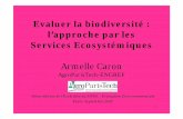 Evaluer la biodiversité : l’approche par les Services ... · Qu’est-ce qu’un Service Ecosystémique ? • Les services écosystémiques sont définis par le MEA comme : les
