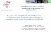 Nouveaux développements des combinaisons …docs.gdrfeux.univ-lorraine.fr/Corte2/EMA02.pdf · Principales propriétés pouvant être améliorées par des nanoparticules dans les