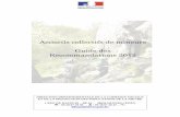 Accueils collectifs de mineurs Guide des · PDF fileles Scouts Musulmans de France, les Guides et Scouts d'Europe, la Fédération des Éclaireurs et des Éclaireuses, les Éclaireurs