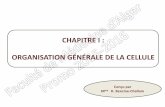 CHAPITRE I : ORGANISATION GÉNÉRALE DE LA …univ.ency-education.com/uploads/1/3/1/0/13102001/cyto1an16... · Objectif 5: Notions de symbiose et de pathogénicité bactériennes