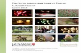 AUBUSSON-FELLETIN SAISON 2013 - LAINAMAC – … · tapisserie de basse-lisse, tricot, ... Filature Terrade, ... RECONNAISSANCE, CUEILLETTE ET PREPARATION DES PLANTES TINCTORIALES