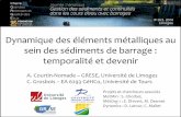Dynamique des éléments métalliques au sein des …fondation.unilim.fr/chaire-grqe/wp-content/uploads/sites/3/2014/10/... · Dynamique des éléments métalliques au sein des sédiments