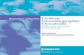 Synthèse Dyscalculie Dyslexie - dyslexia-international.org · neurosciences, la psycholinguistique, la linguistique et l’épidémiologie. ... prise en charge de la dyslexie et