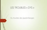 LES TROUBLES « DYS - etoile.regioncentre.fr · Ont donné lieu à l’essor des neurosciences ... - Concept plus récent que la dyslexie et la dysphasie -3 caractéristiques: