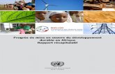 Progrès de mise en oeuvre du développement durable … · Commandes Pour commander des exemplaires du rapport Progrès de mise en oeuvre du développement durable en Afrique Rapport