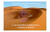 « Les Gazelles Euréliennes » Ludivine & Marionlesgazelleseureliennes.e.l.f.unblog.fr/files/2010/09/booksponsor.pdf · RALLYE AICHA DES GAZELLES ... • Transfert vers le Maroc
