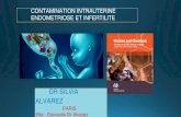 DR SILVIA ALVAREZendomaix.fr/files/155/COMMUNICATIONS/2018/02-alvarez-silvia.pdf · épidémiologique sur les familles de la cohorte EDEN (500 garçons nés ... un risque pour le