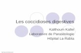 Kalthoum Kallel Laboratoire de Parasitologie Hôpital La … · Diarrhée chronique et ... 5% chez 103 enfants de crèche avec diarrhée [21% en phase épidémique] En Tunisie : Fathallah