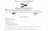 Bruno FRANCOIS - l2ep.univ-lille1.frl2ep.univ-lille1.fr/pagesperso/francois/files/master_pile.pdf · - Besoin élevé de métaux nobles pour la catalyse - Dynamique lente-Rejet de