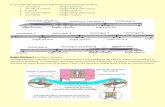 Bogie Porteurs - ACTGVactgv.fr/wp-content/uploads/2012/05/Bogie-des-TGV-PSE-2012.pdf · mêmes caractéristiques que les remorques TGV (absence de porte-à-faux, point d’appui des