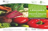 légumes - CFPPA de Bourges Ne€¦ · commercialisation en circuit court de légumes, souvent associés à de petits fruits (fraises, framboises, ... de gammeS, de prix, de temps