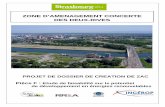 ZONE D’AMENAGEMENT CONCERTE DES DEUX …media.strasbourg.eu/alfresco/d/d/workspace/SpacesStore/5e78d047... · Les politiques environnementales en thermes d’énergie et de Climat.....9