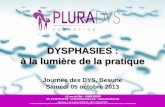 DYSPHASIES : à la lumière de la pratique - pluradys.org · à la lumière de la pratique Journée des DYS, ... intellectuel, sensoriel, neurologique, psychique à ... de rééducation
