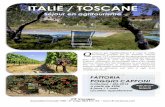 ITALIE / TOSCANE - vtf-vacances.com · En haute saison un diner avec ... La Toscane est la région la plus visitée d·Italie et dispose dune offre ... artistes de la Renaissance.