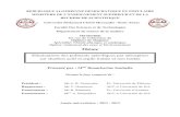 Thème - Université de Souk Ahrasuniv-soukahras.dz/eprints/2013-966-d2b29.pdf · grand plaisir de travailler avec lui, durant la préparation du Magister. ... IV-3-2 Etude de l’influence