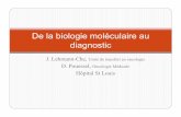 De la biologie moléculaire au diagnosticcoursl3bichat2012-2013.weebly.com/uploads/9/6/0/7/... · J. Lehmann-Che, Unitéde transfert en oncologie D. Pouessel, Oncologie Médicale