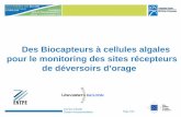 Des Biocapteurs à cellules algales pour le monitoring des ...media.lcpc.fr/ext/pdf/sem/2007_eau_durrieu.pdf · Immobilisation des cellules algales en gel Les gels de silice possèdent