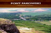 PONT PAKOWSKI - caue63.com · Constitué de poutres latérales en arc au-dessus et de chaque côté d’un tablier, reliées à ce dernier par des suspentes. À ... mais pas à propos