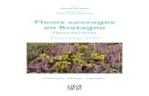 Fleurs sauvages en Bretagne - multimedia.fnac.commultimedia.fnac.com/multimedia/editorial/pdf/9782368330845.pdf · tous les quatre ans. La dentelaire indigène subit ainsi sa loi,