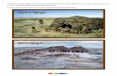 Ces deux photos proviennent du site : … · Le document a été rédigé à partir d'un document de synthèse téléchargeable sur Lutin Bazar, avec accord de sa ... paléolithique