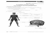 Section 3 Le système nerveux central et le système …lewebpedagogique.com/gvanier/files/2018/04/Univers-Vivant-Fonction... · Ils sont situés dans le cerveau, la moelle épinière