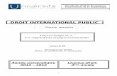 DROIT INTERNATIONAL PUBLIC - eCursuse-cursus.univ-ag.fr/pluginfile.php/49987/course/summary/TD 2 DIP... · Dissertation : Les organisations internationales, sujets du droit international