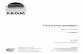 BRGMinfoterre.brgm.fr/rapports/RR-38451-FR.pdf · Le présent rapport, réalisé dans le cadre de l'Inventaire minier de la Guyane française, présente ... puis 100 x 100 m dans