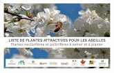 LISTE DE PLANTES ATTRACTIVES POUR LES ABEILLES Plantes ... · arbustes, plantes annuelles…) sont essentiels à la santé des abeilles et des autres pollinisateurs. Protéger et