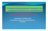 HARMONISATION DES DONNEES/EXPERIENCE DU … · Introduction Le countrySTATau Burundi a été mis en place cette ... préparation et envois des TDRsaux membres du GTT ... donnés,