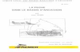 La pêche dans le bassin d'Arcachon - Archimerarchimer.ifremer.fr/doc/00031/14230/11505.pdf · 4 - CONCLUSION ... Le bassin d'Arcachon est caractérisé par une ... Le Petit Piquey,