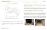 Atlas des cavités souterraines – Région nord de la Loire ... · Du fait de la présence de racines en certains endroits et de chutes ... Si de nouvelles données sont portées