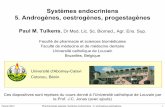 Systèmes endocriniens 5. Androgènes, oestrogènes ... · agissent via les récepteurs ERa et ERb (impliqués dans l’ossification des épiphyses, la ... progestérone par le corps