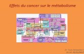 Effets du cancer sur le métabolisme - Accueil | CHL 25 11... · De la cellule cancéreuse aux modifications à distance • Echelle cellulaire: – Instabilité génomique – Persistance