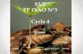 SVT TP ExAO N°3 Cycle 4 5èmes - groupebalzac.com · 3- Mesure de la teneur en dioxyde de carbone de l’air de l’enceinte grâce à une sonde à CO 2. ... CONCLUSION On en déduit