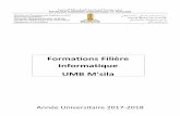 Formations Filière Informatique UMB M'silavirtuelcampus.univ-msila.dz/.../uploads/2017/09/formations-inf.pdf · Cours et exercices corrigés. Alain Cazes et al. Edition ... ainsi