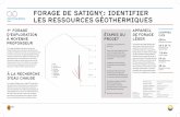 FORAGE DE SATIGNY: IDENTIFIER LES ... - …geothermie-schweiz.ch/wp_live/wp-content/uploads/2017/11/GEO_202… · Maîtrise d’ouvrage : Services Industriels de Genève (SIG) Technique