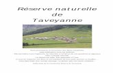 Rserve naturelle de - taveyanne.chtaveyanne.ch/wp-content/uploads/2017/03/Reserve_naturelle.pdf · Châtillon et Culan) Statut de la réserve : ... Ces parts ont été vendues à