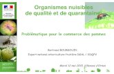 Problématique pour le commerce des pommesdraaf.nouvelle-aquitaine.agriculture.gouv.fr/IMG/pdf/enjeux_export... · dans les végétaux destinés à la plantation affecte l'usage prévu