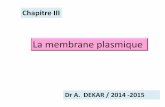 La membrane plasmique - medecinedentaire medecinedentaire-promo2014-2015-alger. 2-2-1. les lipides