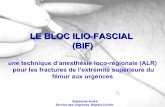 LE BLOC ILIO-FASCIAL (BIF) - sofia.medicalistes.fr · pour les fractures de l’extrémité supérieure du fémur aux urgences. Artère fémorale Veine fémorale Ligament inguinal