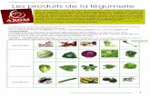 Technologie Culinaire /Chapitre VII/Les produits de la ...disciplines.ac-bordeaux.fr/ecogestion/hotellerie/uploads/news/115... · Activité 8 – Répertoriez les gammes de légumes