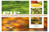 GUIDE DE BONNES PRATIQUES PHYTOSANITAIRES · Document réalisé par le PIP avec la collaboration technique de : AgroEco CIRAD Crédits photographiques ... - fotolia.com Avertissement