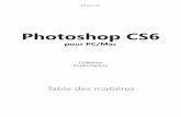 Photoshop CS6 - decitre.fr · Créer un document à partir d’un état ou d’un instantané . . . . . . . . . . . . . . . . . .76 Définir les options d’historique ...
