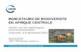 INDICATEURS DE BIODIVERSITE EN AFRIQUE … · – le changement climatique ... biodiversité sous la base d’une liste de 236 indicateurs potentiels, qu’il classe par : •niveau