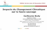 Impacts du Changement Climatique sur la faune …€¦ · d’ongulés et forêt par les ICE –Indicateurs de changement ... -Présentation concrète et visuelle des effets potentiels