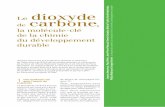 Le dioxyde de carbone, la molécule-clé de la chimie du ... et nature_209.pdf · tants où elle est transformée dans le cycle du carbone : − au cours du processus de ... de la