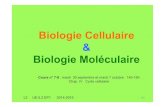 Biologie Cellulaire Biologie Moléculaire - Accueilbiochimie.univ-tours.fr/cours7_8_2014.pdf · Biologie Cellulaire & Biologie Moléculaire L3 UE 5.2 EP1 2014-2015 Cours n° 7-8 :