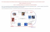 PB : Comment expliquer la diversification des êtres ...prof.leclou.free.fr/documents/termS/lecon/genetique/l1genet16.pdf · Les étapes de la méiose : 1ère division P1 2n = 6 M