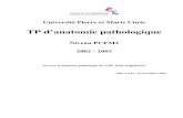 TP d’anatomie pathologique - chups.jussieu.fr · 4/74 TP d’anatomie pathologique - Servide d’anatomo-pathologie du CHU Pitié-Salpêtrière 2002 - 2003 ... Salle 511 - 5ème